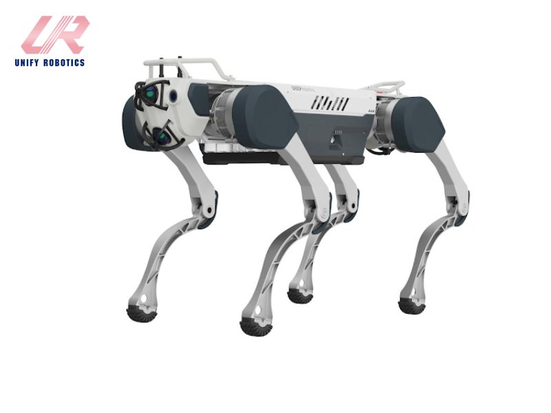 Robot 4 chân đang dần trở thành xu hướng công nghệ