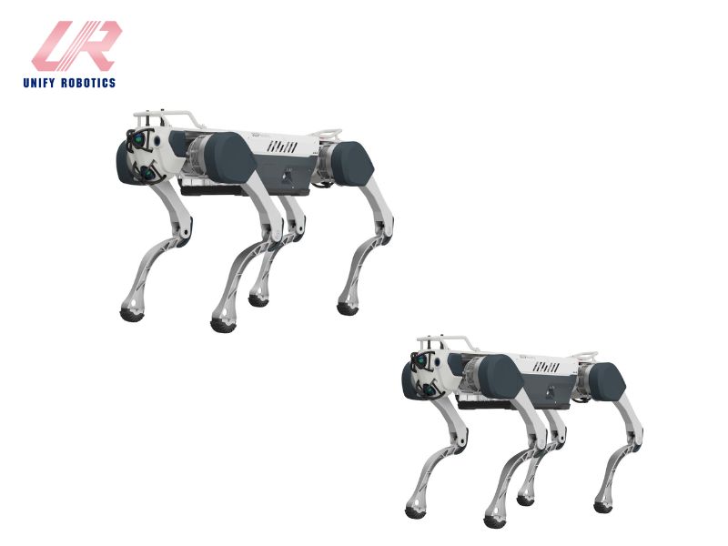 Robot 4 chân giám sát