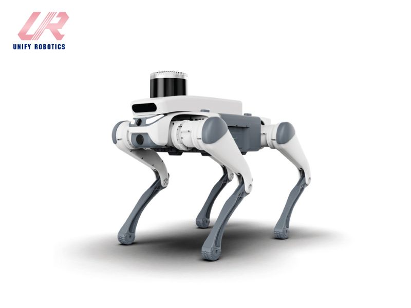 Robot 4 chân di chuyển linh hoạt mọi địa hình